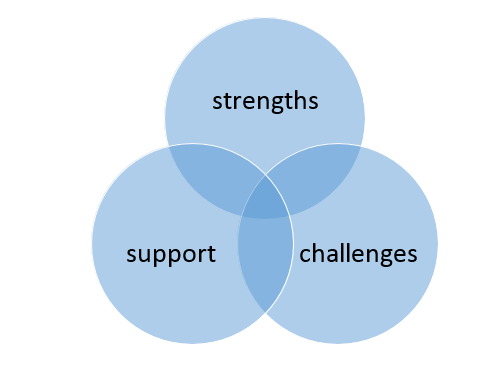 Veteran's Venn Diagram showing strengths, challenges and support