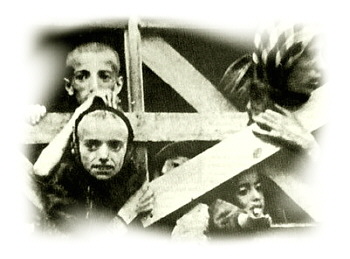 concentration camp children