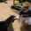 Me and a goat at the Honolulu Zoo